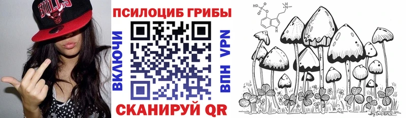 Псилоцибиновые грибы Magic Shrooms  Агидель 